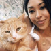 Your Next Cat Sitter
