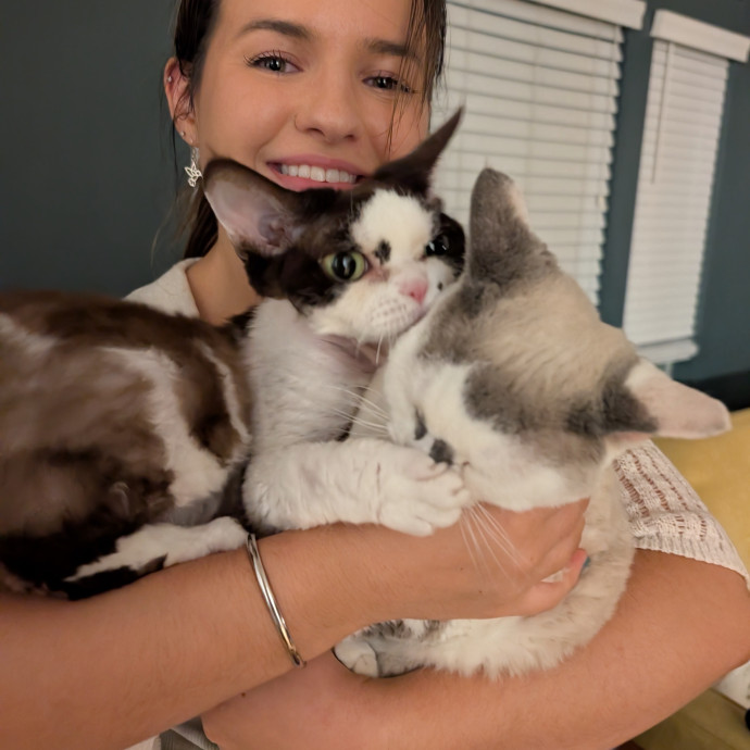 Lifetime Cat Owner W Med Experience