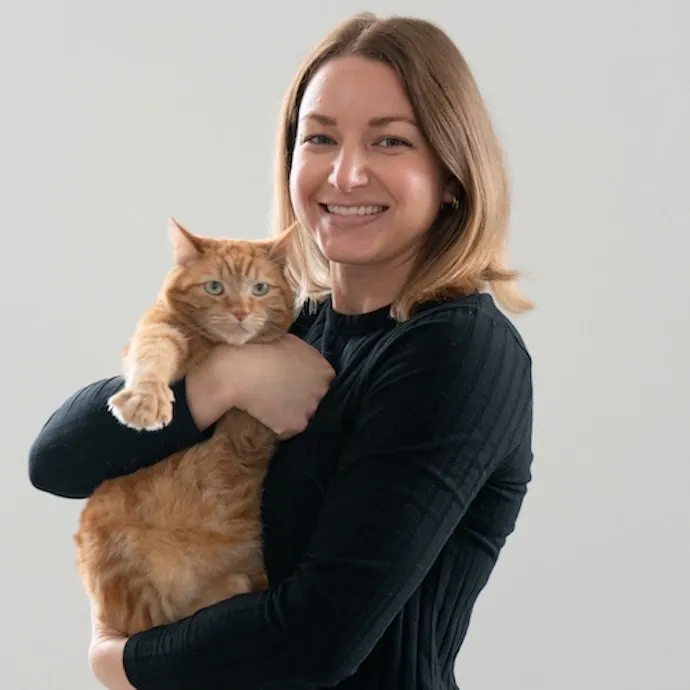 Sf Cat Sitting With Sonya Meow