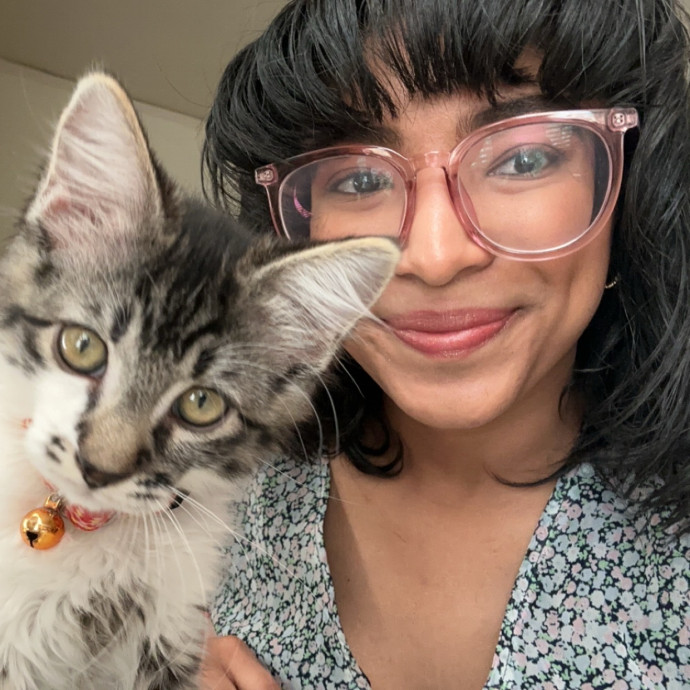 Professional Cat Sitter 4Yrs Experience