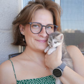 Millionsandbillionsandtrillions Of Cats