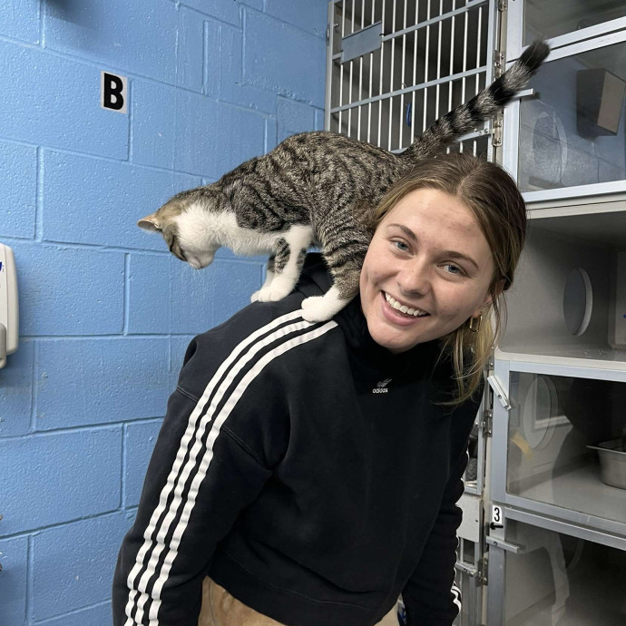 Emily's Fur Real Feline Care