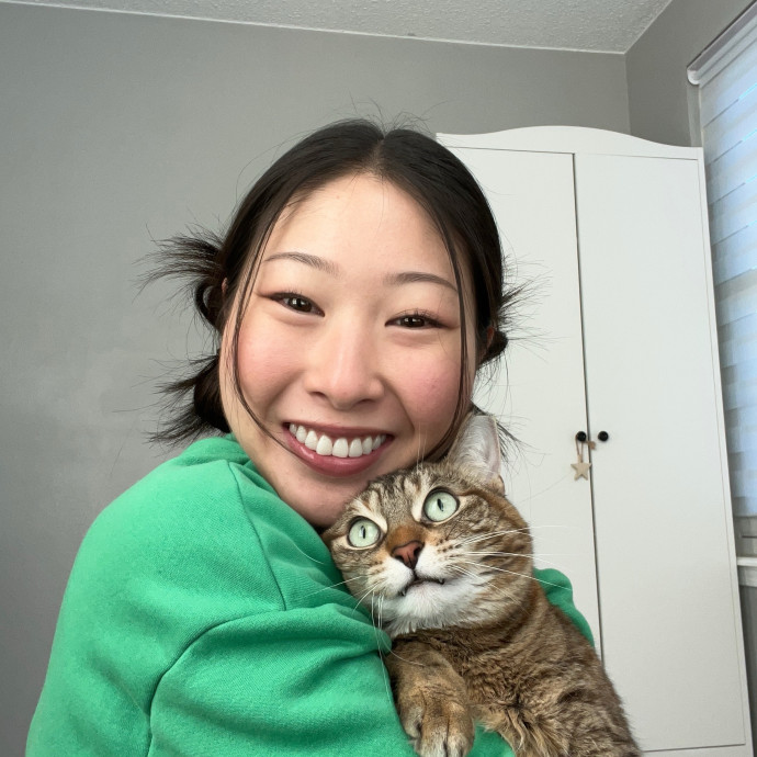 Kitty Cat Sitting Kitty Cat Sitting