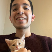 Consistent Cat Caretaker