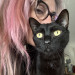 I Could Not Live Without My Cats