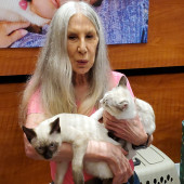 Linda's Happy Kitty's Here