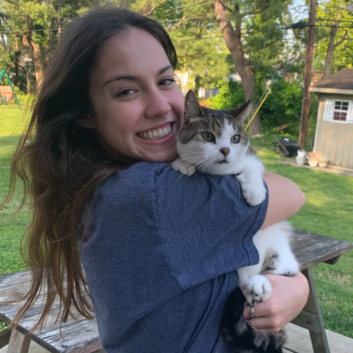Your Cat's Next Best Friend