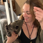Little Lions Cat Sitting Services