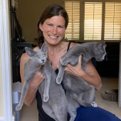 Cat Lover With 40 Years Of Experience