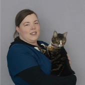 Experienced Rvt Ready For Your Kitty