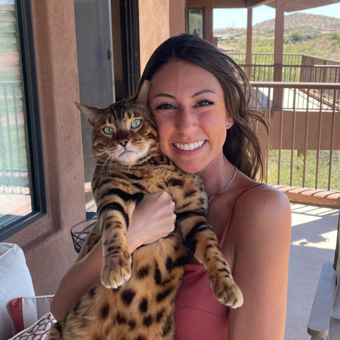 Kittens To Seniors-Care You Can Count On