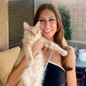 Kittens To Seniors-Care You Can Count On