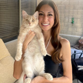 Kittens To Seniors-Care You Can Count On