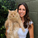 Kittens To Seniors-Care You Can Count On
