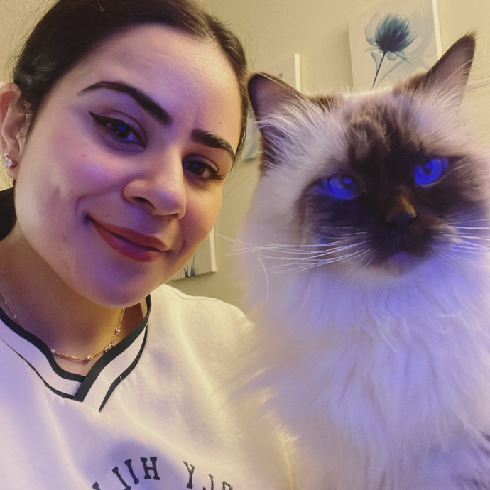 I Can't Wait To Meet Your Precious Cat I Can't Wait To Meet Your Precious Cat