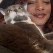 Your Cat's New Favorite Human After You