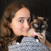 5 Star Kitty Sitter