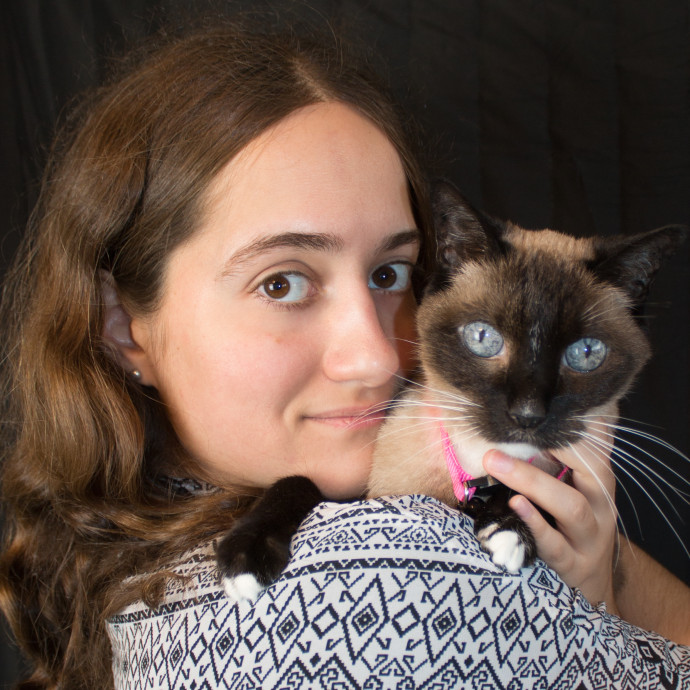 5 Star Kitty Sitter 5 Star Kitty Sitter