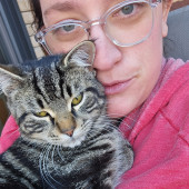 Cat Lover W 10Yr Veterinary Experience