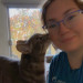 Pampered Purrs  Kitten To Super Senior