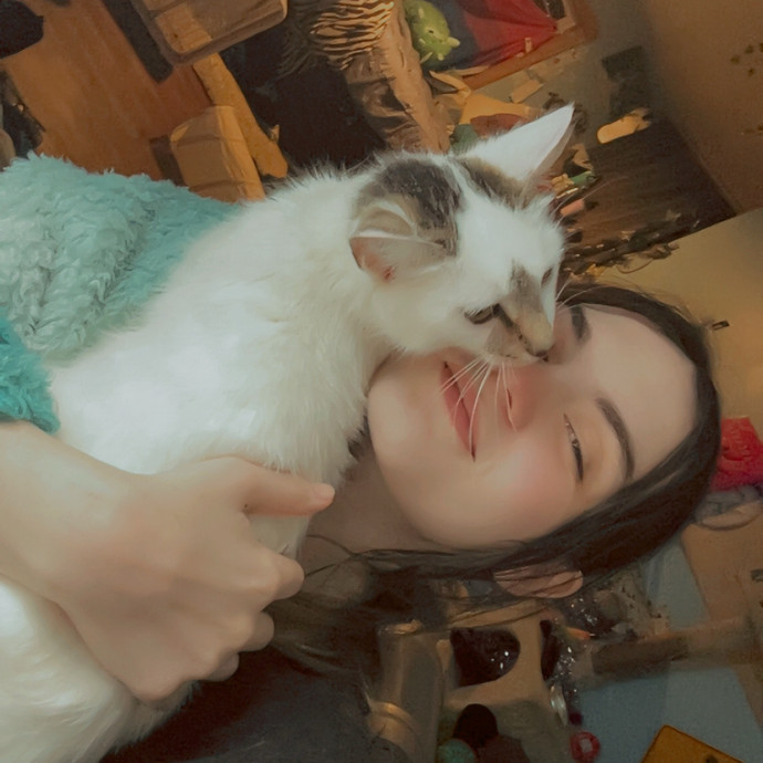 Cat Conisour