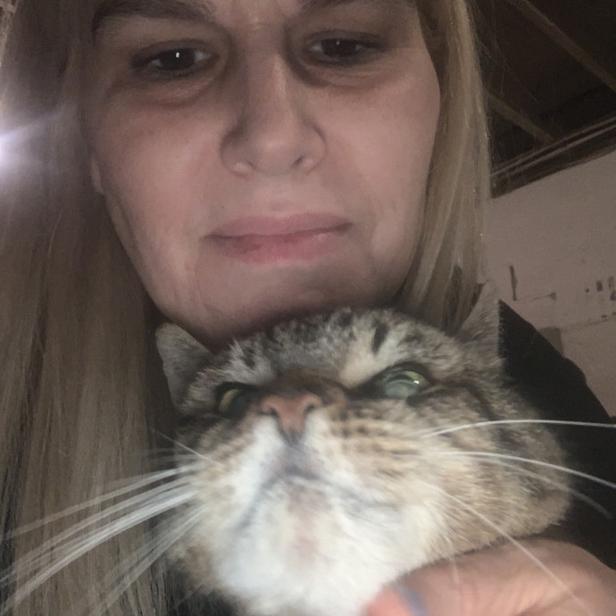 Feline Friend