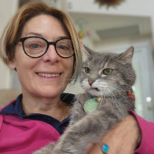 Experienced And Loving Cat Mom In Tucson