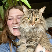Zookeeper Here To Care For Your Kitties