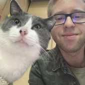 Mr Meowgi Mr Meowgi