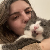 Cat Whisperer Cat Whisperer