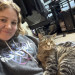 Stress Free In-Home Cat Care