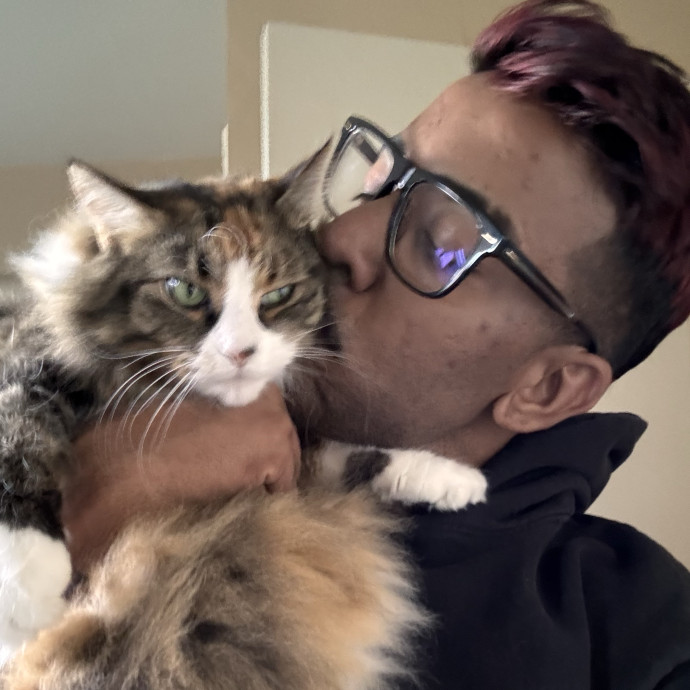 Attentive Cat Care You Can Trust