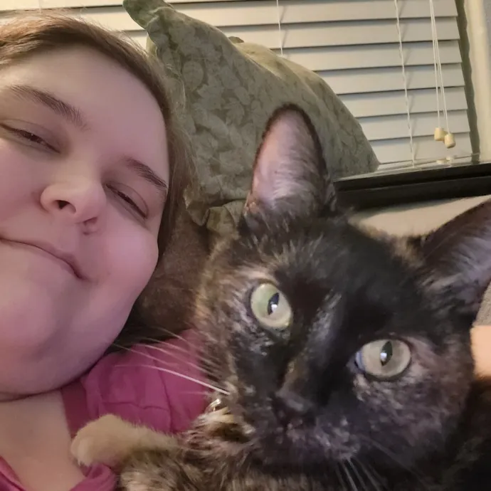 I Love Cats