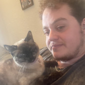 Professional Cat Dad