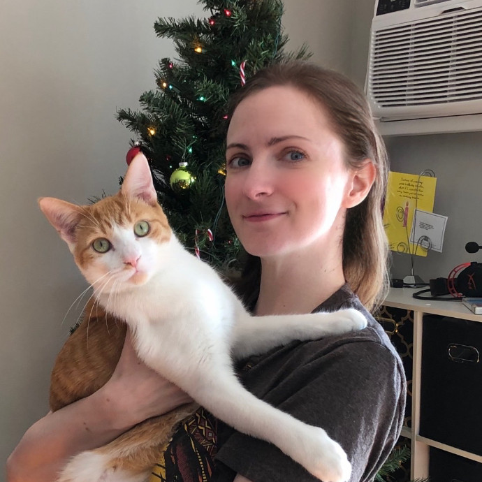 The Kat Your Cat Would Choose The Kat Your Cat Would Choose
