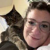 Experienced Cat Owner And Sitter