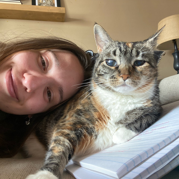 Your Cat's Therapist Your Cat's Therapist
