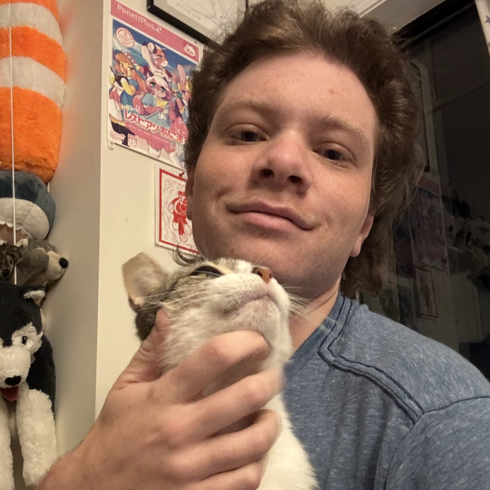 Experienced Cat Sitting Services