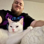Caring Cat Lover Calm  Reliable