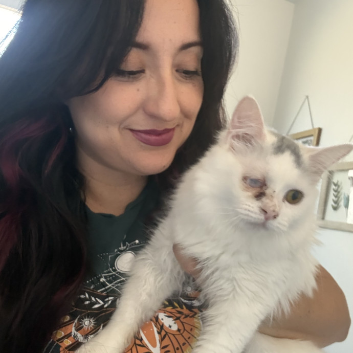 Dedicate Cat Sitter  Whisker Wrangler