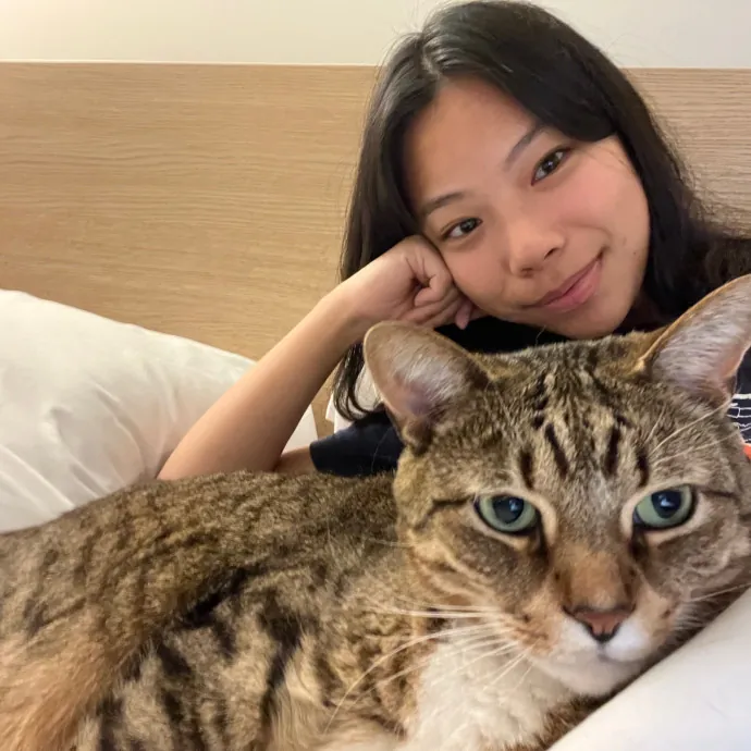 Fi's Felines