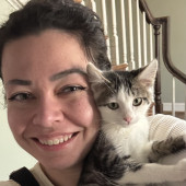 Cat Care Extraordinaire