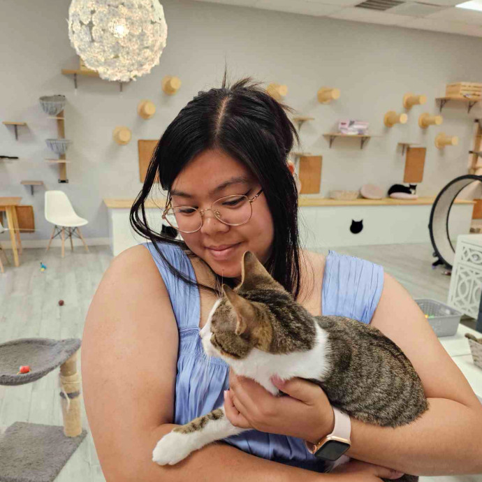 Cat Lover Listener Empathy-Based Care Cat Lover Listener Empathy-Based Care