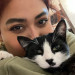 Tidy Mid City Kitty Sitter
