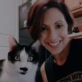 A Whisker And A Paw Cat Sitting