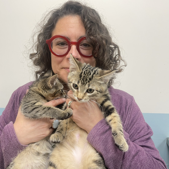 Cat Lady Extraordinaire