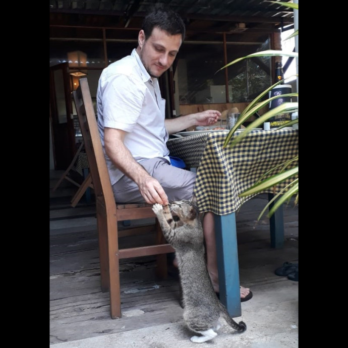 Jay Loves Cats Jay Loves Cats