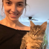 Lifelong Cat Lover And Owner