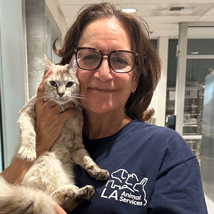 Cat Care And Cat Lover