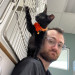 Cj's Cat Care